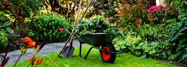 Property Maintenance - Garden Maintenance